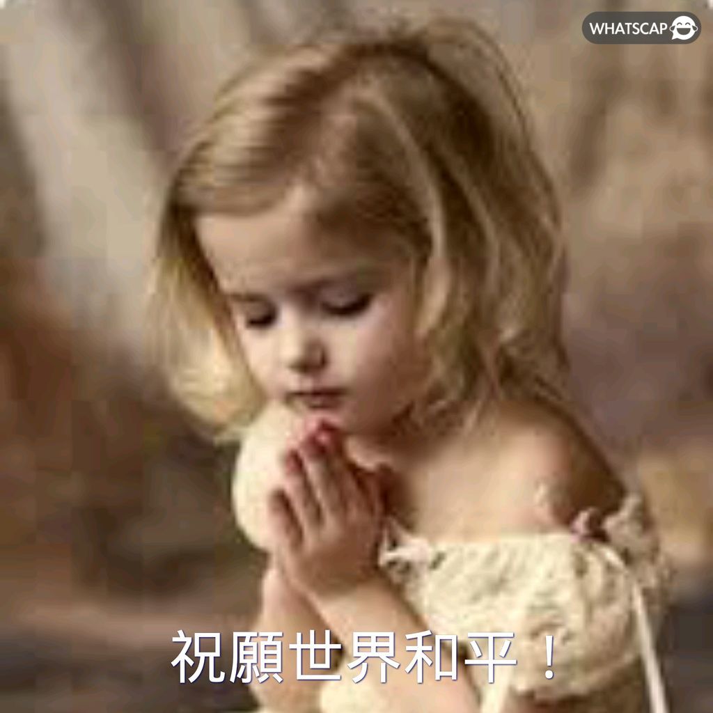 灰狼主力打,压小牛,伤病连累损,永利皇宫app官网玩家首选,永利皇宫app官网H5,永利皇宫app官网游戏平台