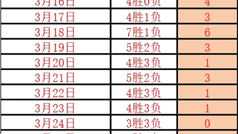 葡萄牙后腰佩佩加盟俱乐部